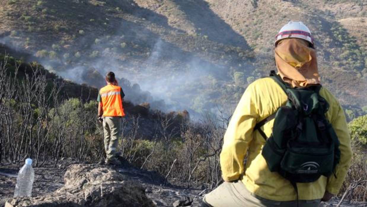 Imagen de los bomberos forestales de la agencia Amaya de Medio Ambiente en un incendio