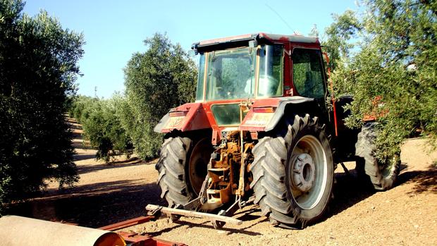 Fallece un trabajador de 39 años al caer del remolque de un tractor en una finca de Palos de la Frontera