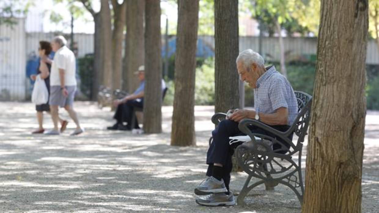 Un anciano sentado en un parque de Córdoba