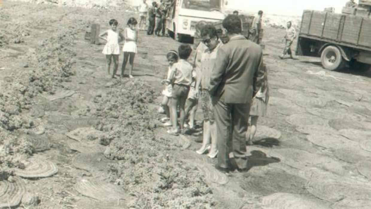 Imagen de archivo de la Campiña cordobesa en los años 40