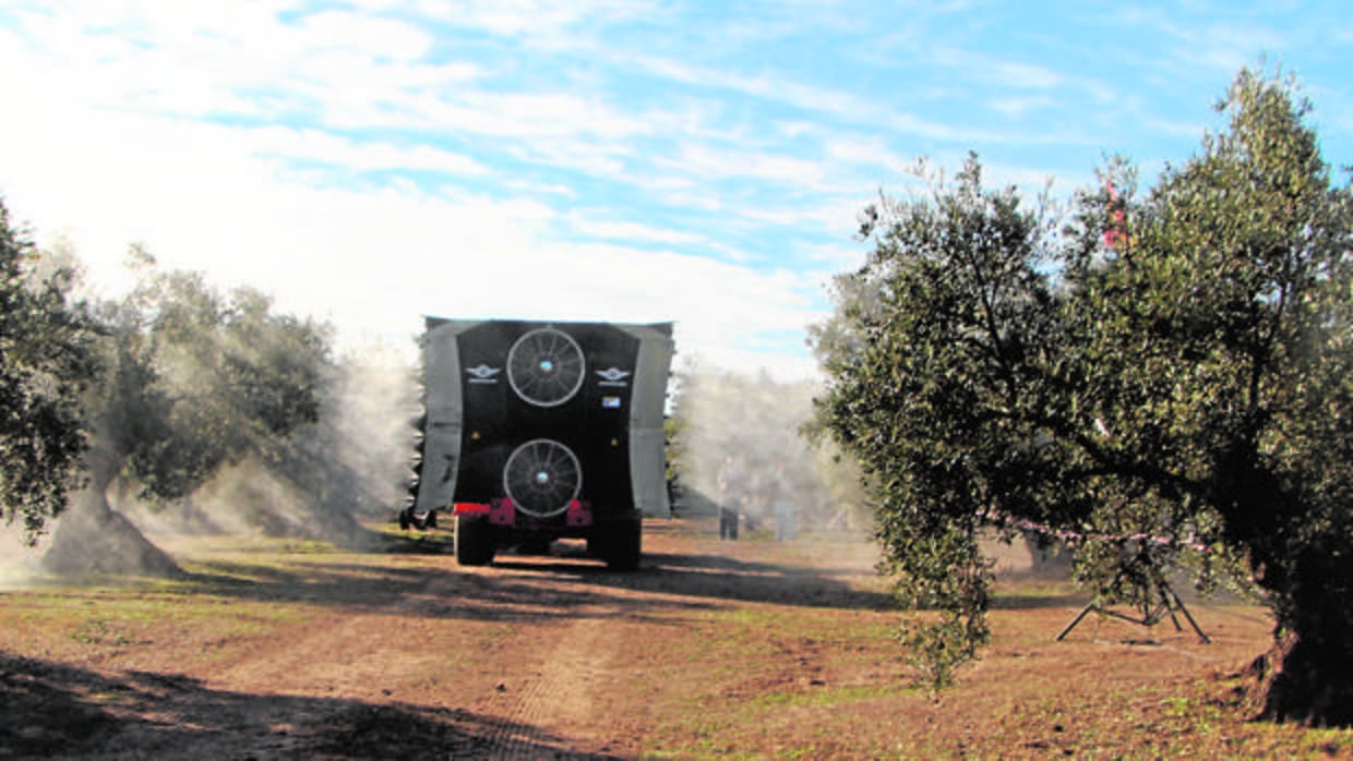 Un vehículo pulveriza herbicida en un campo de olivos