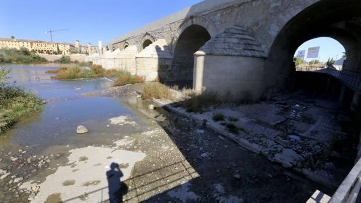 Aspecto del Guadalquivir a su paso por el Puente Romano