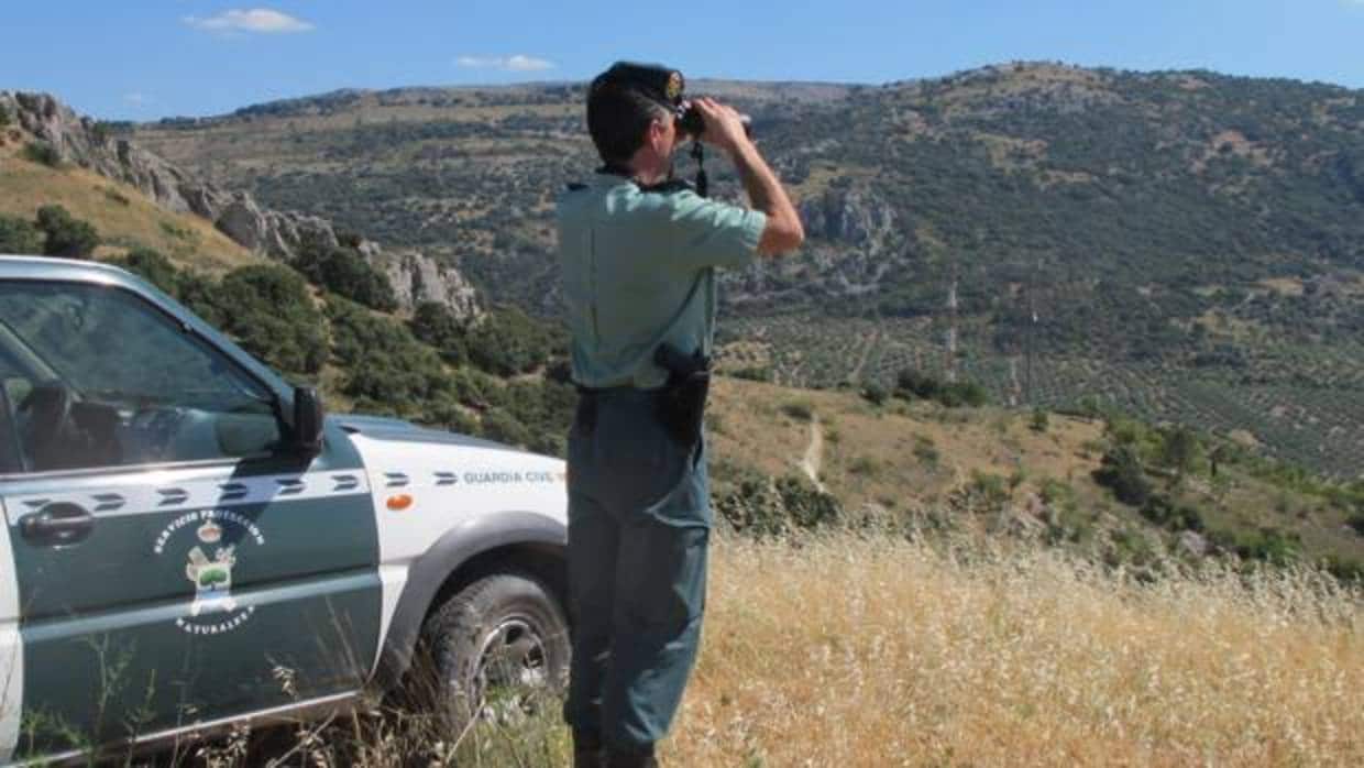 Un agente en un servicio de vigilancia en la sierra de Córdoba