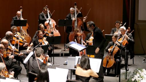 Sección de cuerda de la Orquesta de Córdoba en una actuación