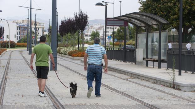 El «despilfarro» del tranvía de Vélez: 42 millones para una obra en vía muerta