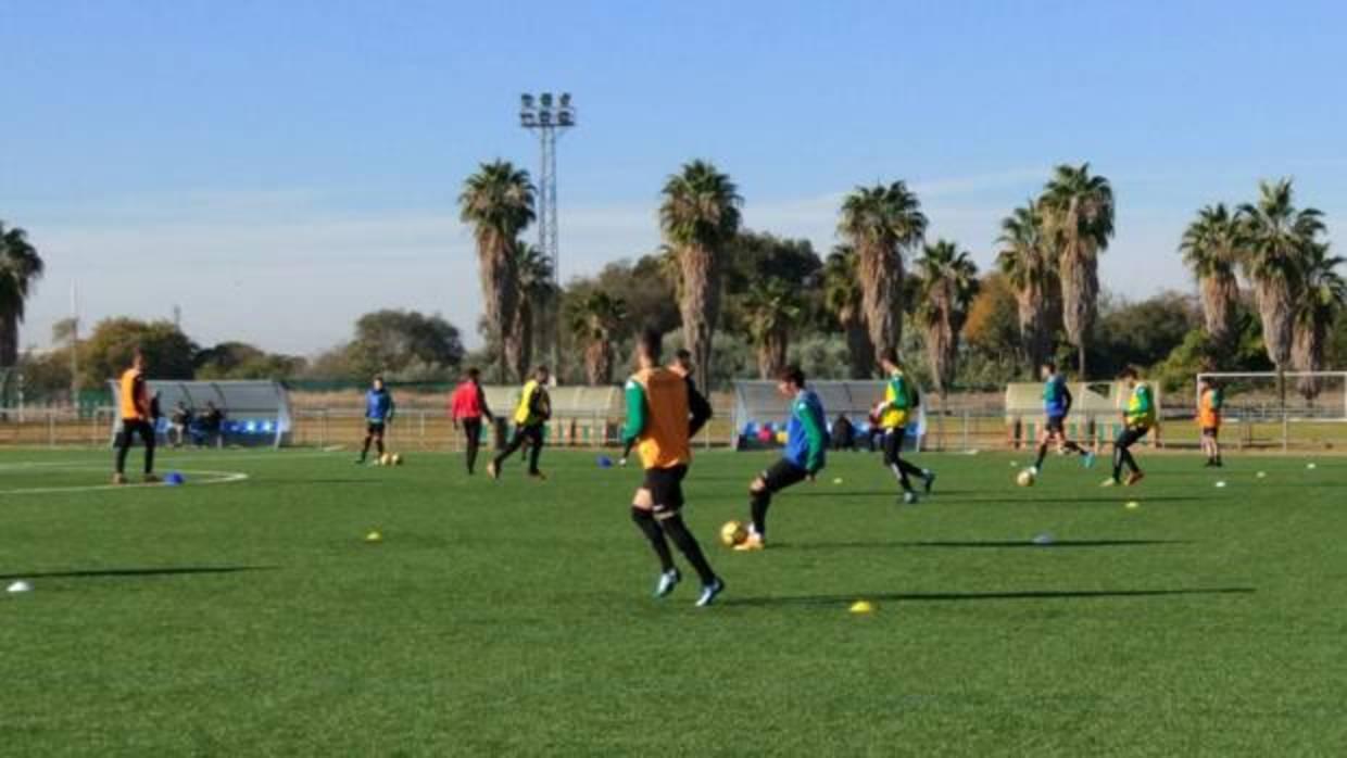 El primer equipo del Córdoba CF, durante el entrenamiento de este miércoles en césped artificial