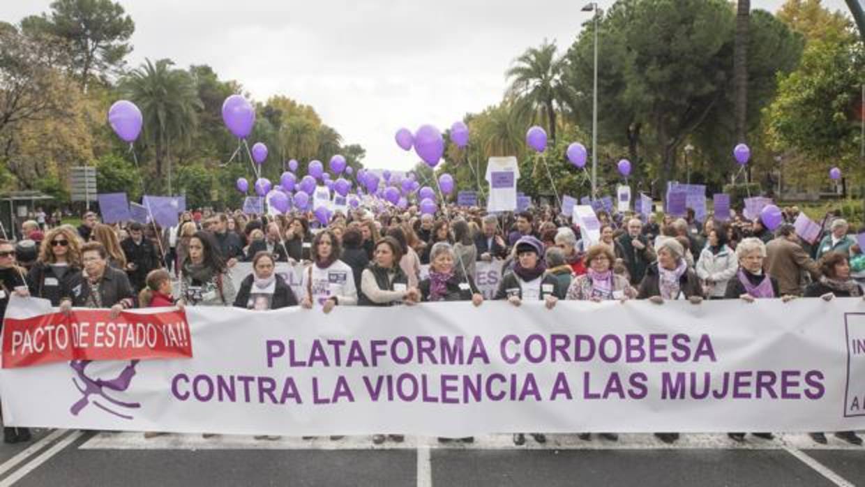 Marcha contra la violencia de género en Córdoba