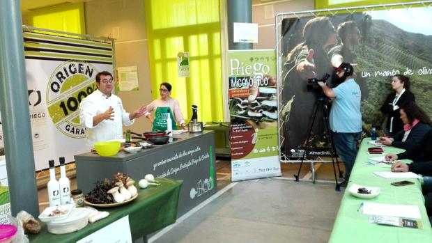 Arranca «Priego Micológico: Naturaleza y Gastronomía» con una clase de Sergio Fernández