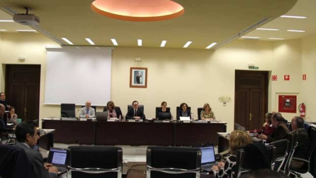 Reunión del Consejo de Gobierno de la Universidad de Córdoba