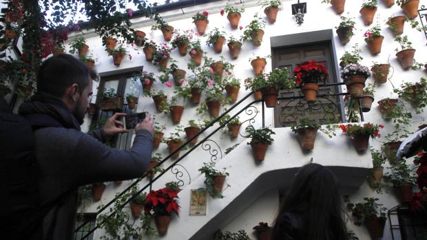 Cinco años «regando» el título de Patrimonio de la Humanidad de la Fiesta de los Patios de Córdoba