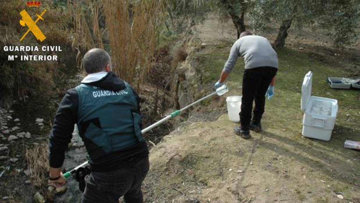 Los agentes del Seprona recogiendo muestras del río