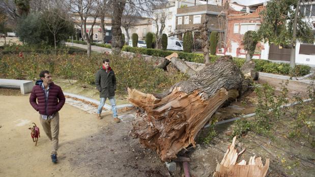 La borrasca Bruno cierra Sierra Nevada y el puerto de Tarifa