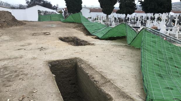 Casi 30 estudiantes trabajaron sin cobrar en la excavación de fosas de la Guerra Civil en Lucena