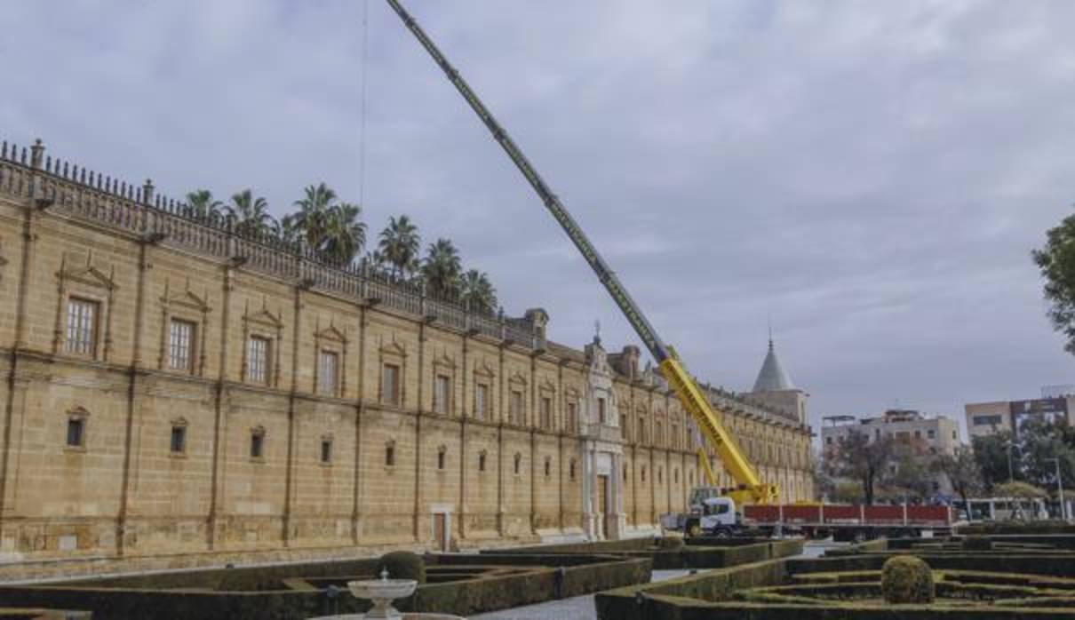 La grúa con la que se están realizando los estudios de las palmeras del Parlamento