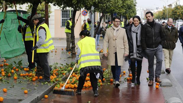 CTA denuncia que Sadeco paga en Córdoba por recoger naranjas casi la mitad que en el campo