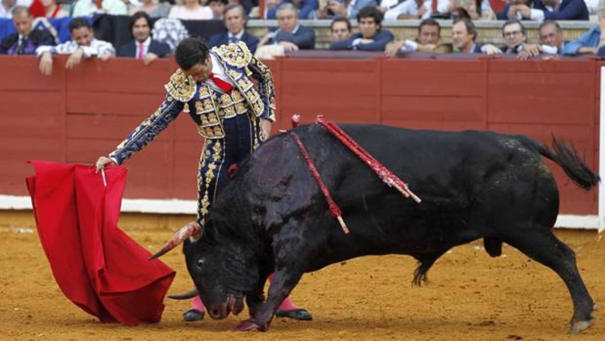 Finito de Córdoba en su última comparecencia en Los Califas toreando con la mano derecha en su faena