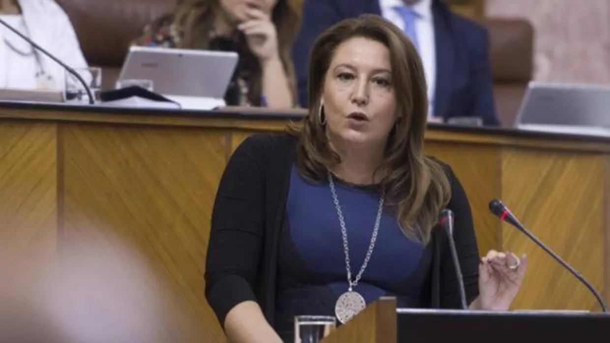 Carmen Crespo, en el Parlamento