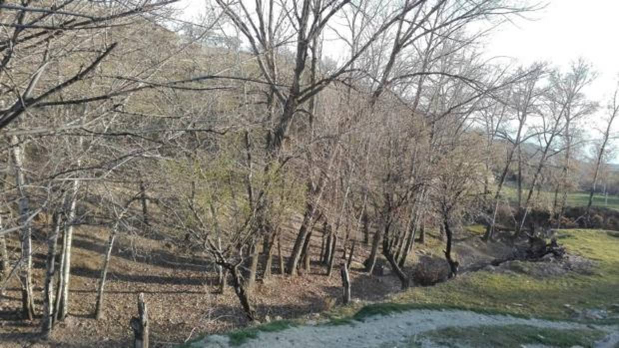 El paraje de Guadix donde se encontró a la mujer sin vida