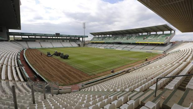 El Córdoba CF invierte casi 200.000 euros en el cambio de césped del estadio y la Ciudad Deportiva