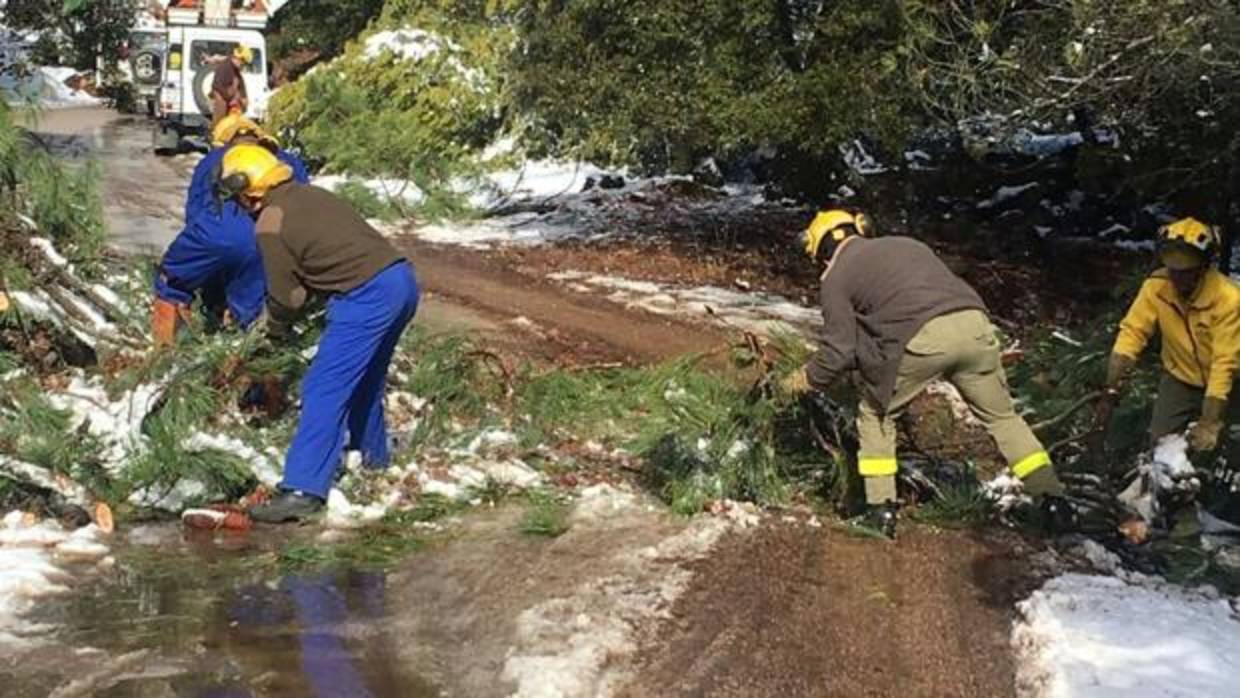 Imagen de bomberos del Infoca en Granada trabajando este invierno sin prendas adecuadas