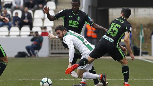 Córdoba CF | Javi Galán: «No pensamos en los datos, solo queremos recortar distancia»