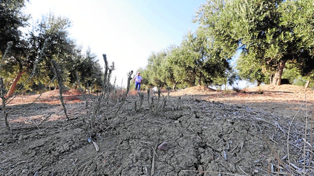 El campo reclama a la Confederación Hidrográfica transparencia sobre el agua que habrá para riego