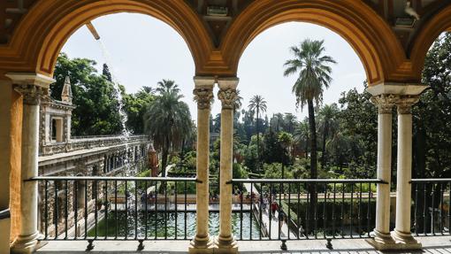 La flora que se puede observar desde cualquier rincón del Alcazar de Sevilla