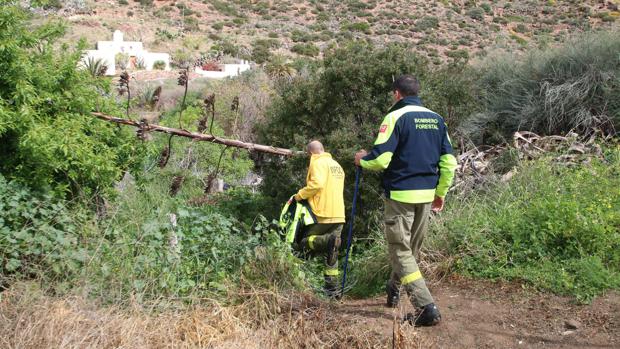 Desaparición en Níjar: Se amplía a dos kilómetros el radio de búsqueda de Gabriel