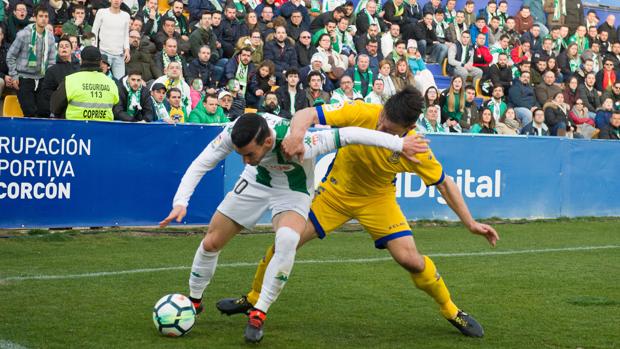 Las notas de los jugadores del Córdoba CF ante el Alcorcón