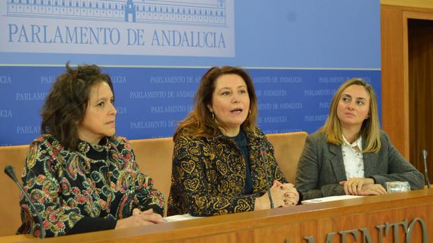 El PP afirma que la Junta deja fuera de la Formación Profesional a 31.500 alumnos