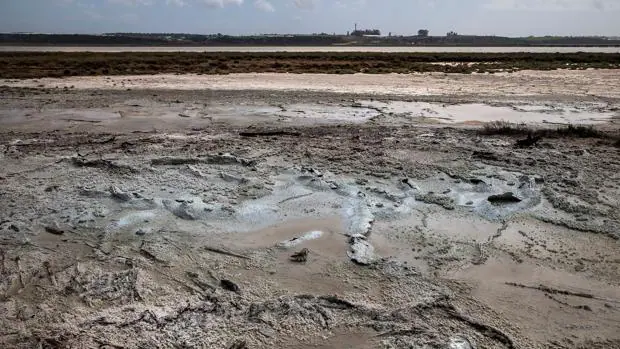Expertos descartan riesgo ecológico en las balsas de fosfoyesos de Huelva por el temporal