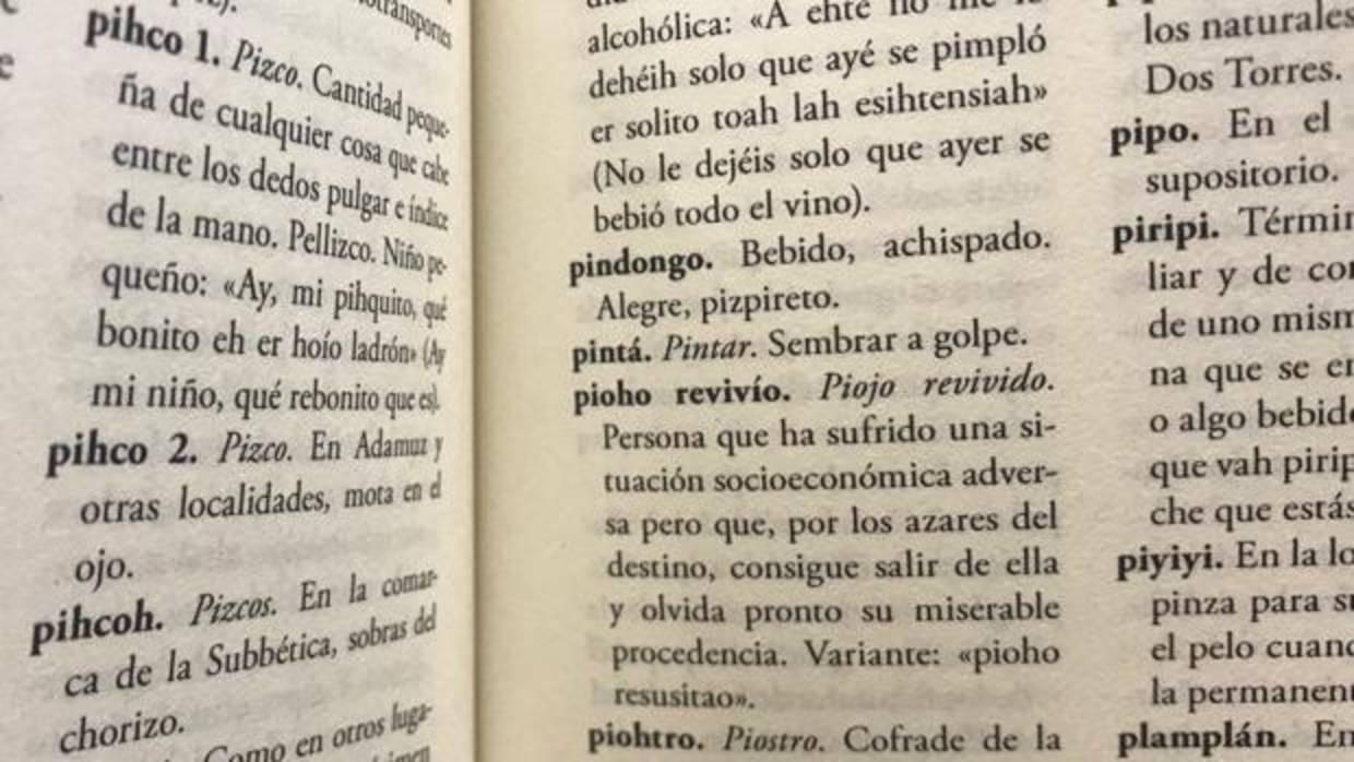 Una de las páginas del «Diccionario del habla cordobesa»