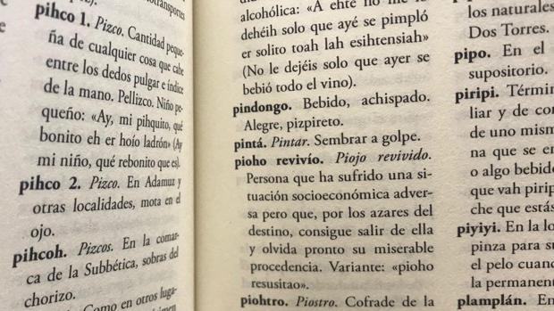 ¿Sabes qué significa en Córdoba ser un «piojo revivío»?