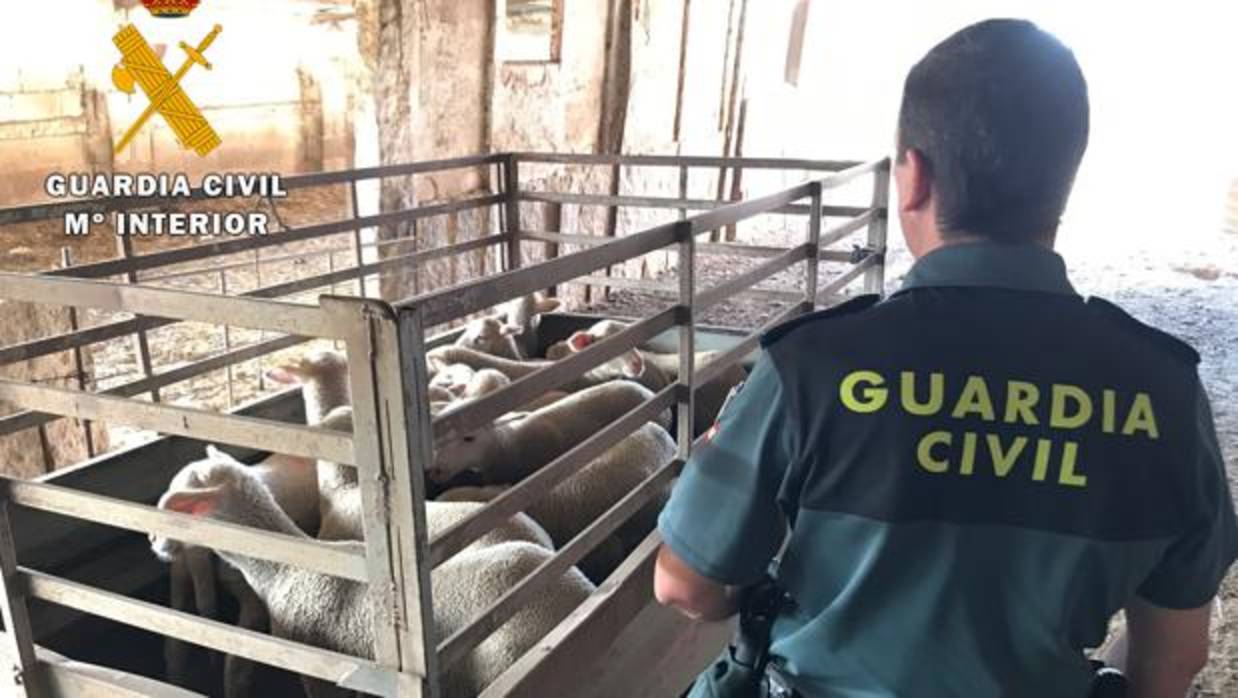 Un agente en la finca propiedad del detenido