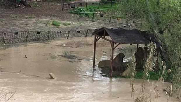 La lluvia y el viento provocan 59 incidencias en la provincia de Córdoba