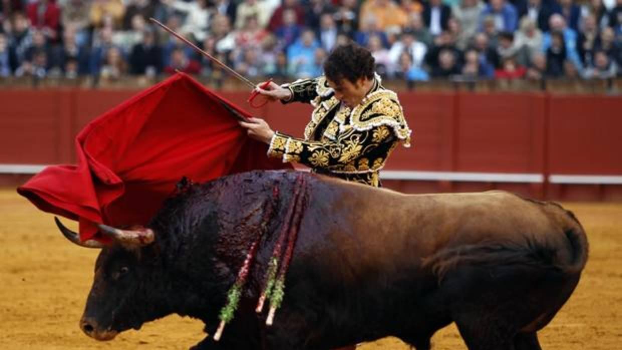 Finito de Córdoba durante una corrida de toros