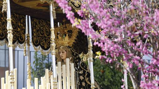 La Virgen de la Soledad de San Cayetano