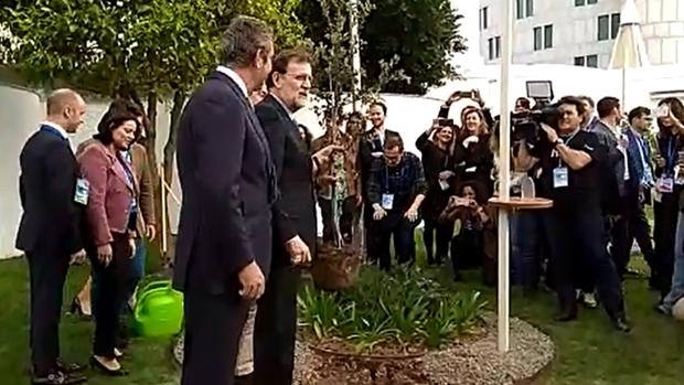 Rajoy planta una encina, el símbolo de la Convención Nacional celebrada en Sevilla