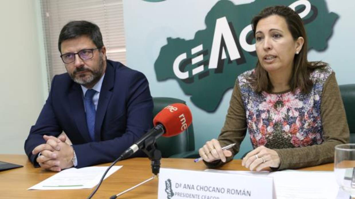 Ana Chocano y Daniel Fernández en la presentación del informe de Ceacop