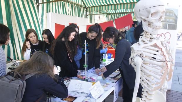 El Vial Norte de Córdoba se convierte en el Paseo de las Ciencias