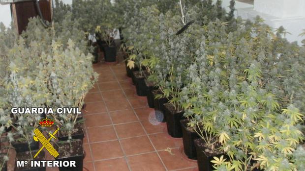 Veinte detenidos por tráfico de drogas y robo de mercancías en camiones