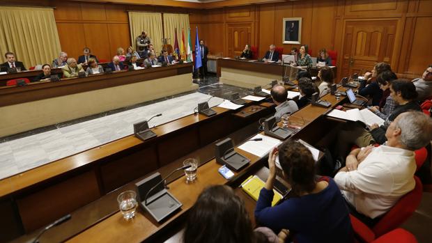 El currículum de los políticos de Córdoba: la mayoría han trabajado, pero pocos con trayectorias brillantes