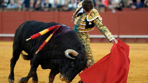 FIT reajusta los carteles de toros de la Feria de Córdoba