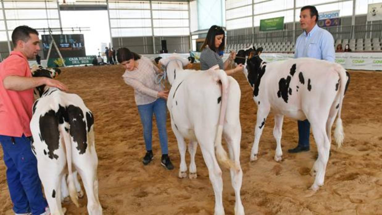 Taller formativo sobre cuidado de los animales que compiten para garantizar su bienestar durante el concurso