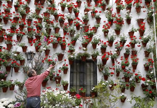 Riego de las plantas en Martín de Roa