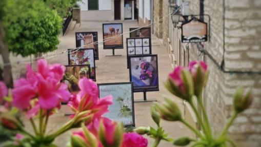 Los planes de ocio de este fin de semana en Córdoba