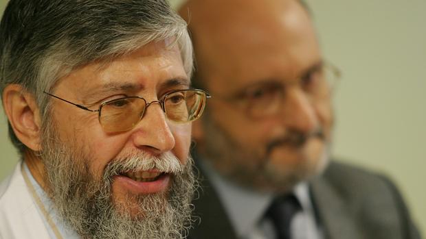 El aceite de oliva de Córdoba, muy útil para la fabricación de medicamentos