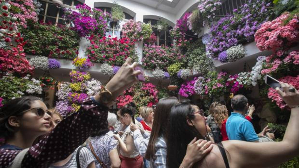 Turistas en un patio de la calle Parras en la jornada del sábado