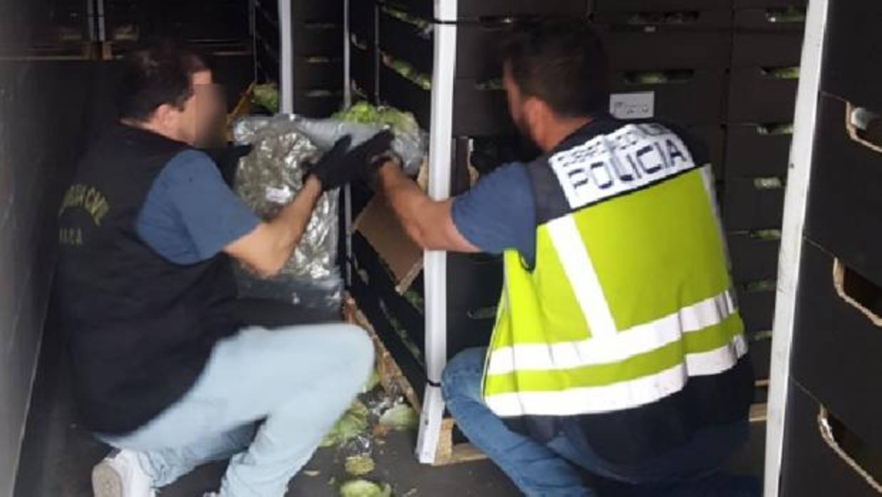 La droga estaba escondida entre palés de lechuga