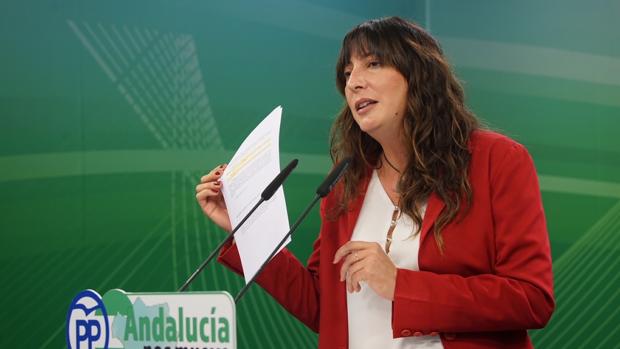 El PP-A asegura que siempre defendió la continuidad de Alaya al frente de las macrocausas